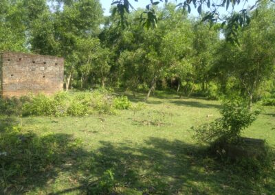 Village Chhoti in Odisha, India